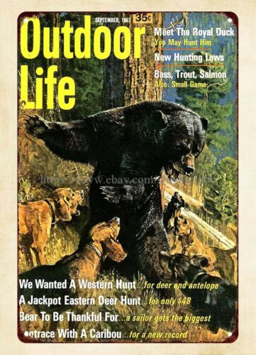 Outdoor Hunting Dogs - Ofis duvar dekoru 1967 Açık Hava