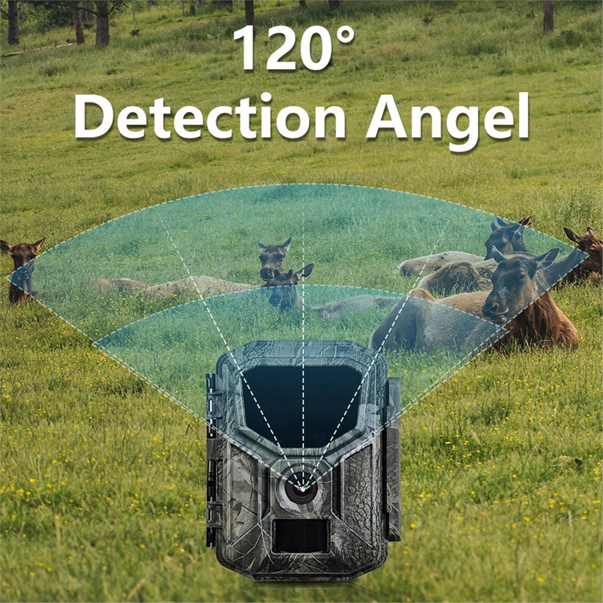 8K Av Kamerası HD Yaban Hayatı - Hunting Outdoor Rug incelemesi ve fiyatı