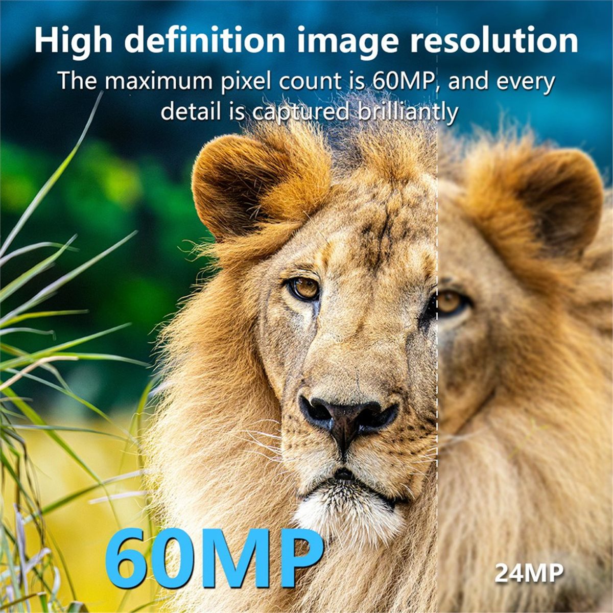 8K Av Kamerası HD Yaban Hayatı - Hunting Outdoor Rug incelemesi ve fiyatı