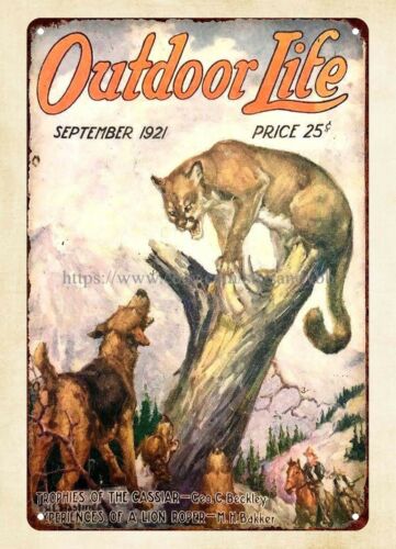 duvar resmi satın al 1921 OUTD - Outdoor Hunting Dogs incelemesi ve fiyatı