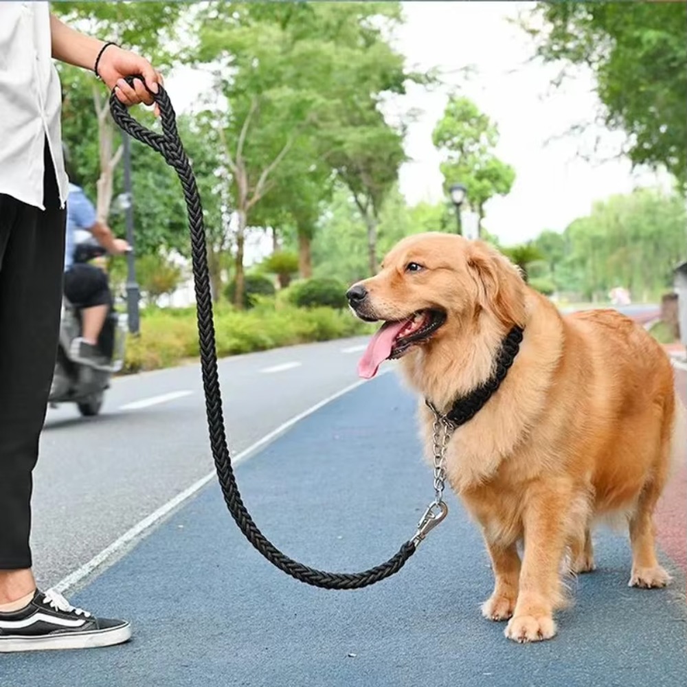 Ağır Hizmet Tipi Büyük Köpek T - Outdoor Hunting Dogs incelemesi ve fiyatı