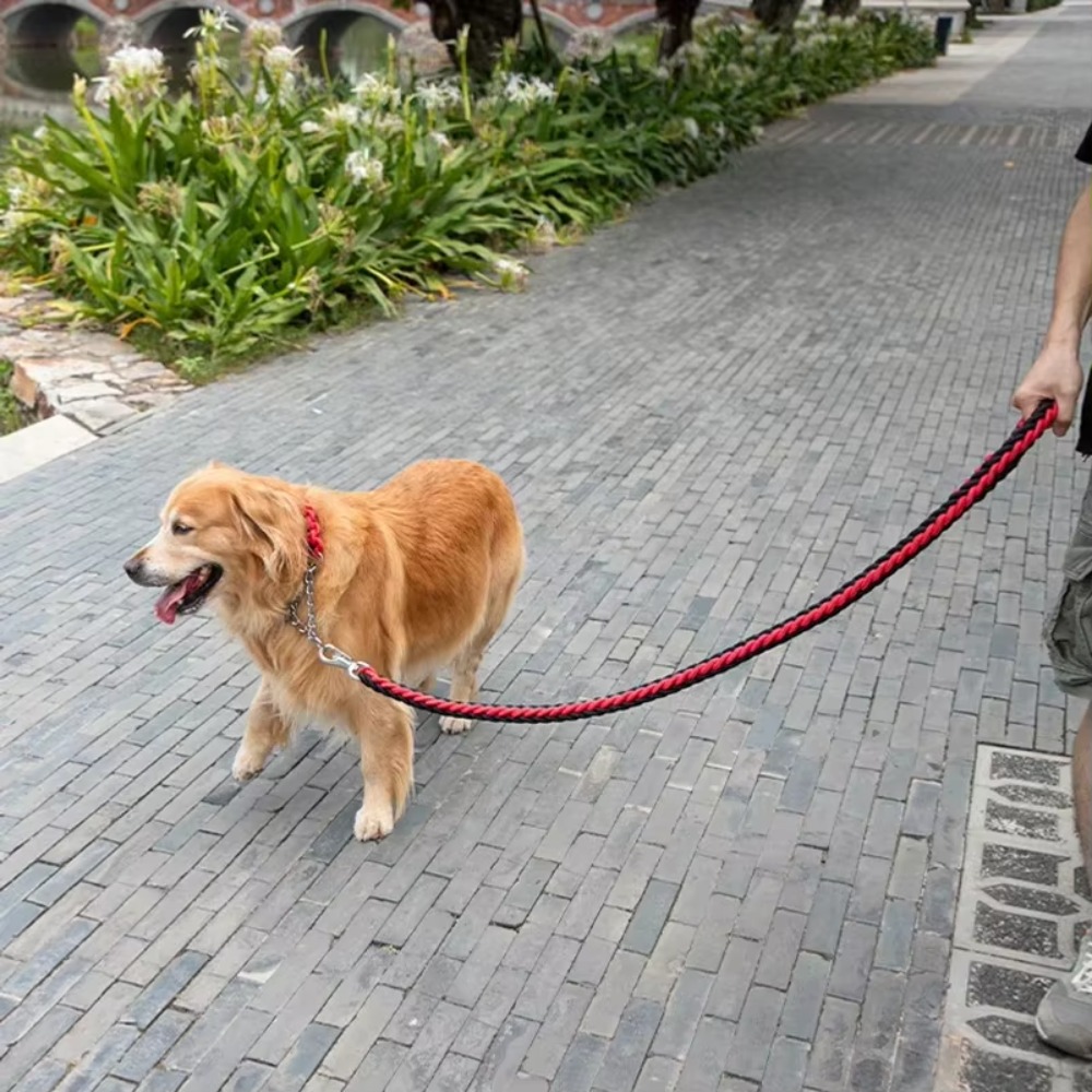 Ağır Hizmet Tipi Büyük Köpek T - Outdoor Hunting Dogs incelemesi ve fiyatı